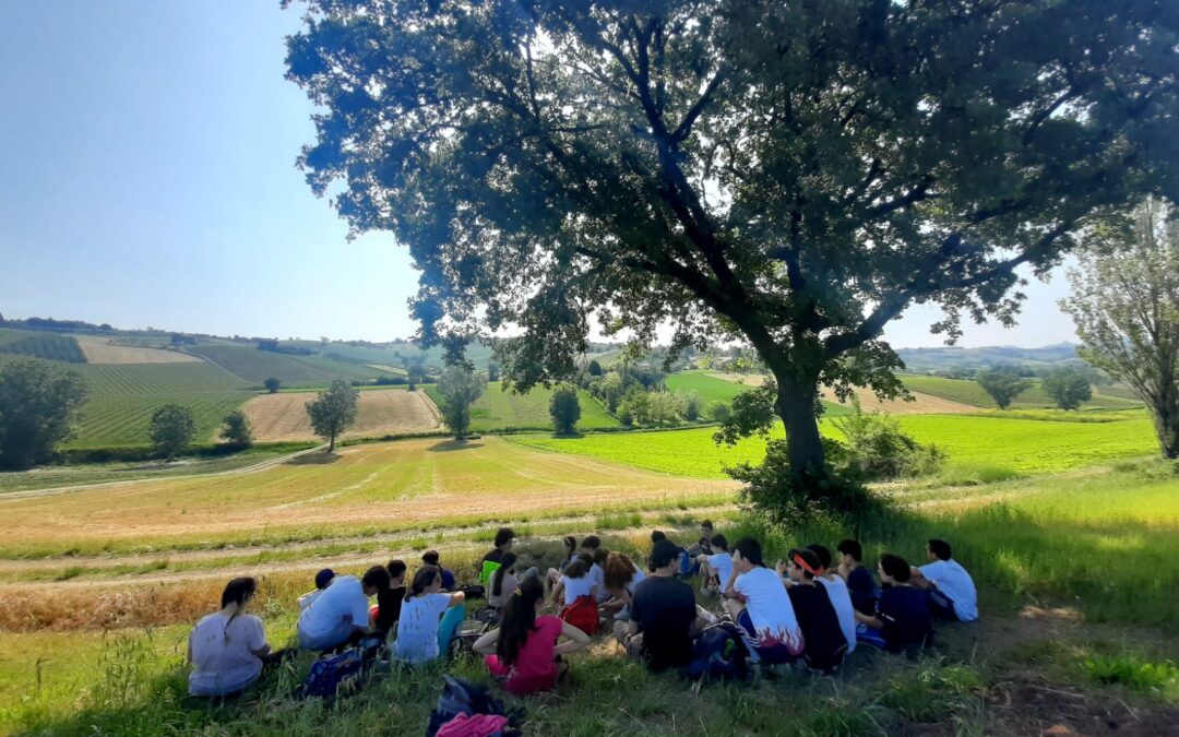 Una bella camminata nel verde